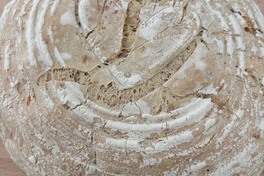 Sůl máme pod kontrolou 1