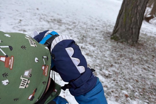 Vnímáme přírodu  1