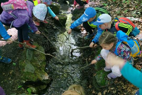 Studánky 1