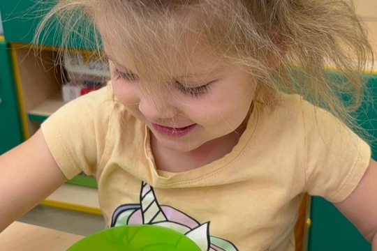 Ledová lednová krmítka  1