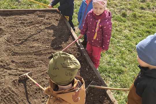 Bylinková radost v naší školce 1