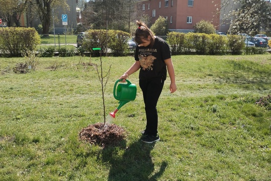 Finišujeme 1