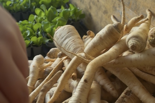 Nákupy u farmáře  1