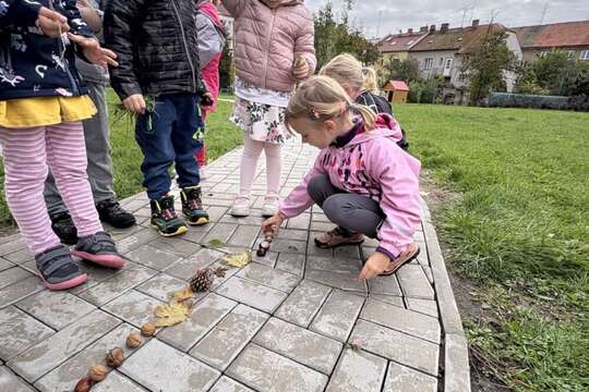 Domino z přírodnin ???????????? 1