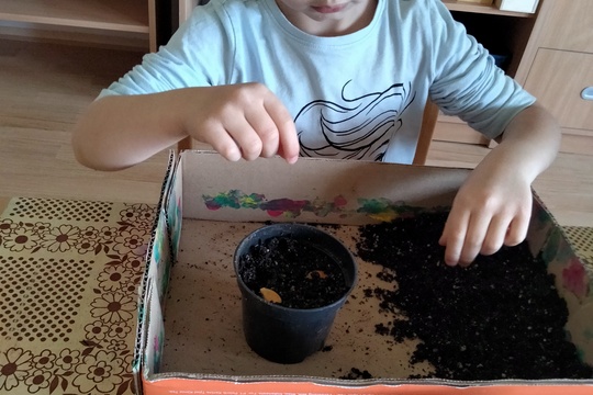 Jarní probuzení  1