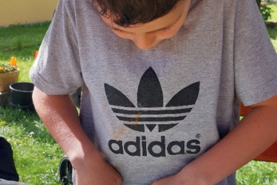Agátina otevřená zahrada  1
