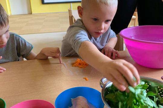 Chefs in Training - Spring Rolls  1