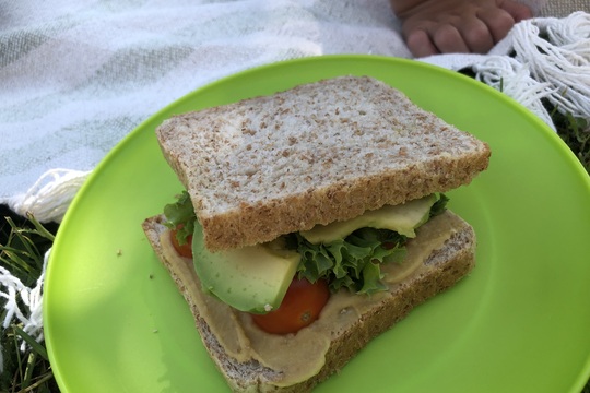 Piknik v trávě 1