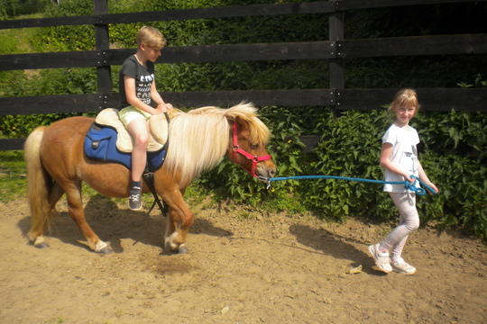 Návštěva farmy "Appaloosa". 1