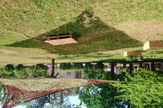 Zvelebujeme školní pozemek 1