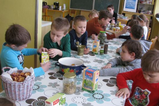 Na Oskole již víme, k čemu slouží bylinky 1