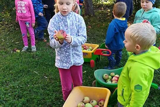 MOŠTOVÁNÍ NA ŠKOLNÍ ZAHRADĚ MŠ MÁNESOVA  KROMĚŘÍŽ   1