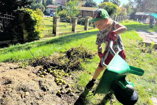 Po prázdninách zpět na školní zahradu Po prázdninách zpět na školní zahradu 1