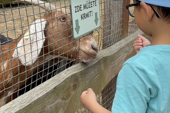 Za zvířátky  1