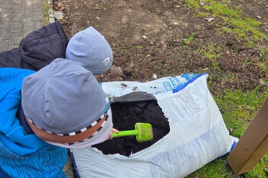 Berušky MŠ Kollárova - sázení kytiček 1