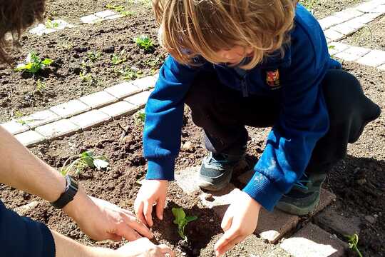 První letošní úroda 1