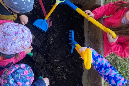 Sázení hrášku a cibule  1