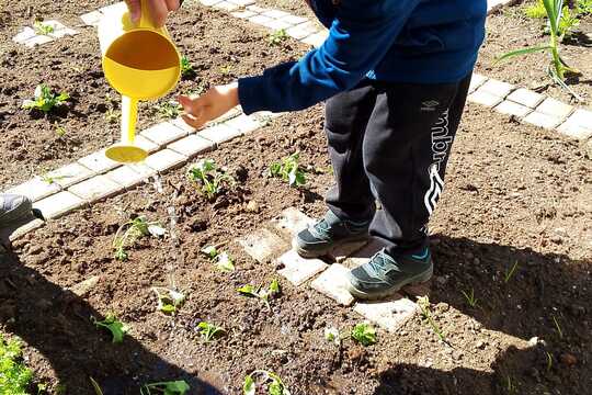 První letošní úroda 1