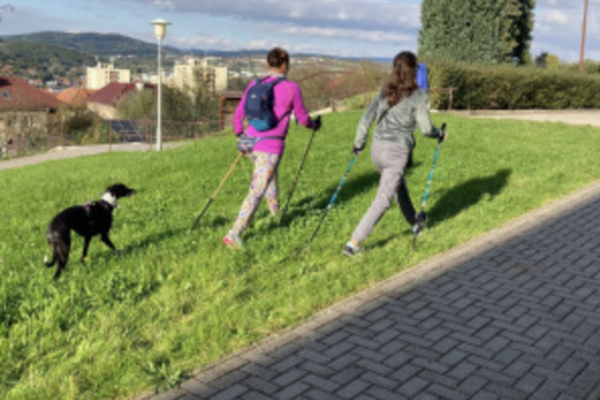 Týden zdraví 2024 1