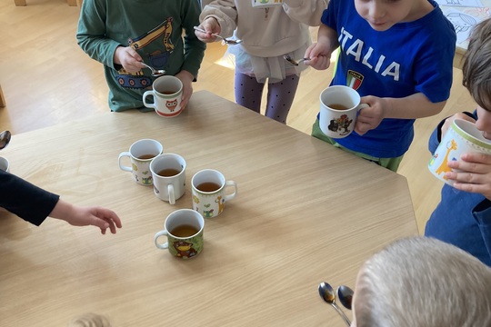 Vitamínový čaj - Berušky 1