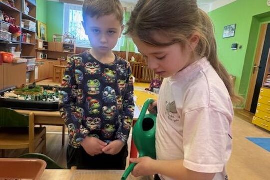 Microgreens - Sovičky 1