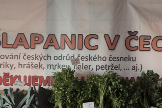 Říďová na farmě  1