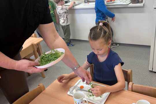 Klíčky hrášku ke zdraví 1