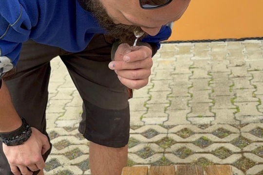 Květový vlastní medík 1