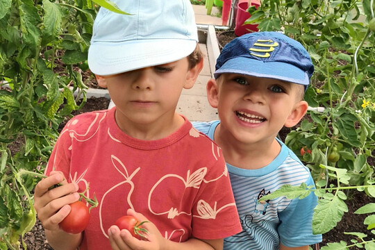 Sklizeň naší úrody Sklizeň naší úrody 1