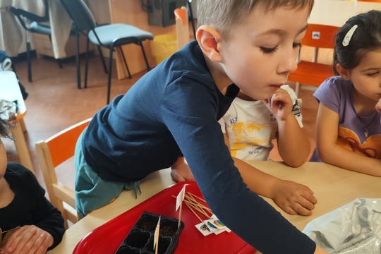 Sovičky z MŠ Dukelských hrdinů - Sázíme ředkvičky a hrášek 1
