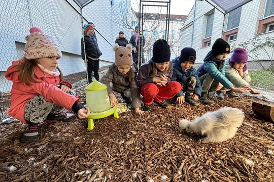 Nový kurník na naší školní zahradě! Nový kurník na naší školní zahradě! 1