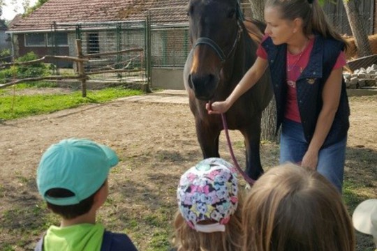 Návštěva malé rodinné farmy v Popovicích u Brna 1