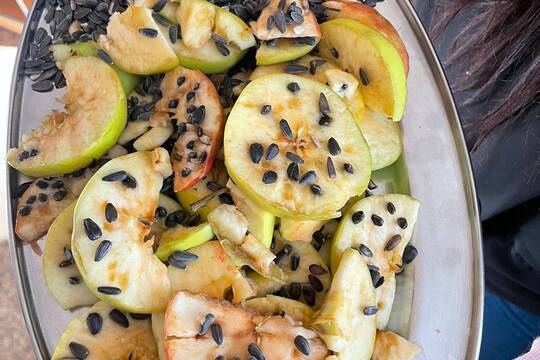 Krmení pro ptáčky z jablíček 1