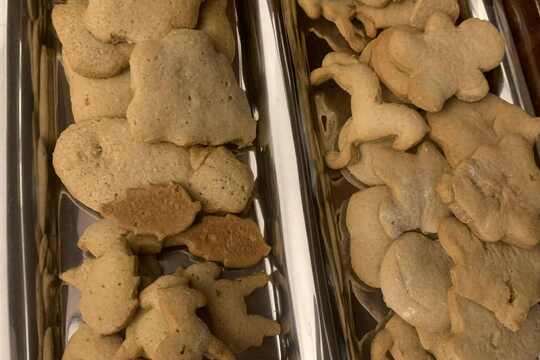 Pečení medových perníků Pečení medových perníků 1