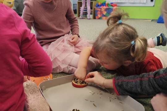 Jablečná krmítka pro ptáčky 1