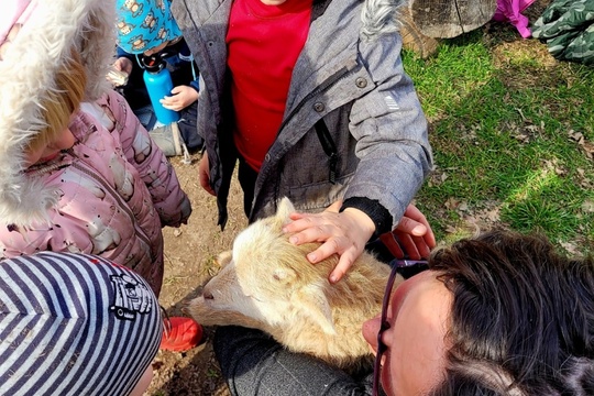 Poznáváme svět zvířat zblízka Poznáváme svět zvířat zblízka 1