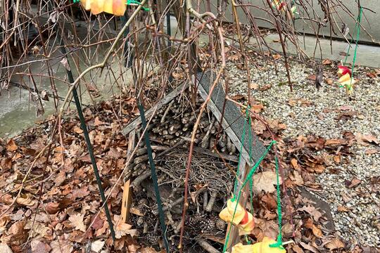 Pomáháme ptáčkům přečkat zimu 2 Pomáháme ptáčkům přečkat zimu 2 1