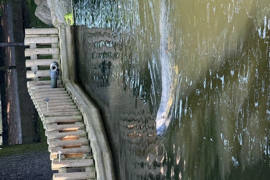 MŠ Sluníčko na výletě - Zoopark Chomutov 1