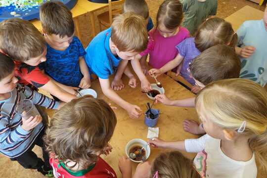 Pampeliškový med - Sluníčka 1