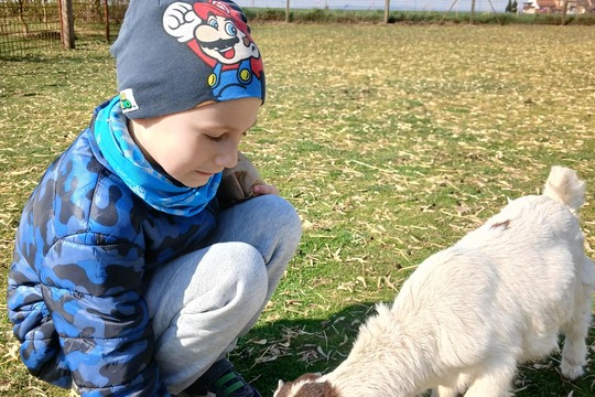 Výlet na Zlatou farmu  1