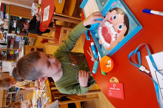 Zubínek a Pořádníček u nás doma 1