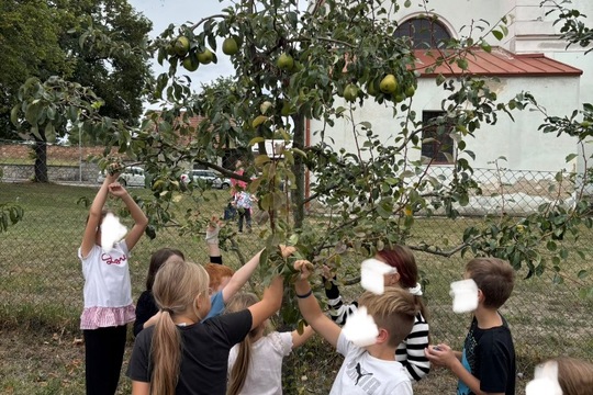 Rozloučení s letošní bohatou úrodou 1