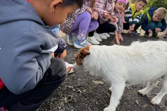 Modráček na Farmě Skalka Modráček na Farmě Skalka 1