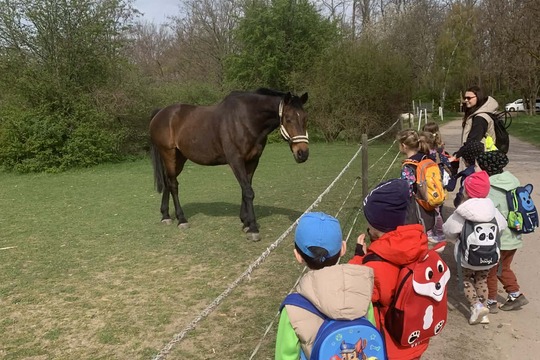 Výlet na farmu koní  1