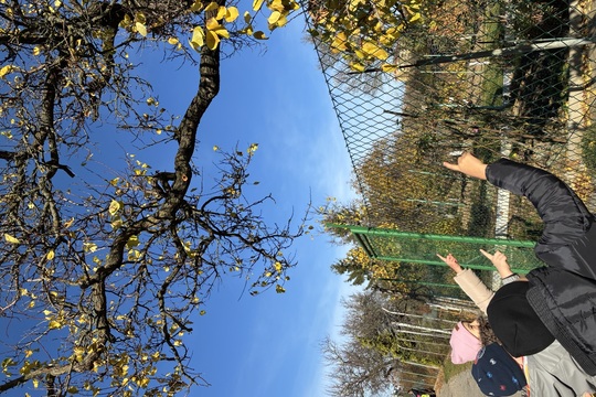 Na procházce po stopách skřítka Podzimníčka 1