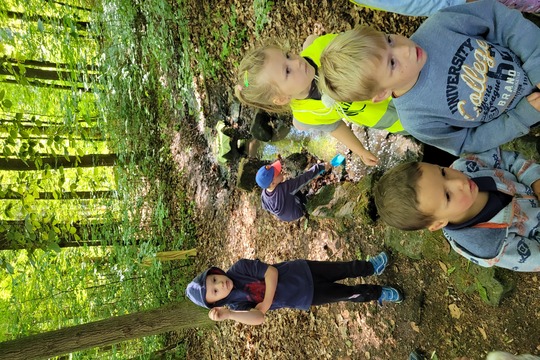 Studánková víla a čištění studánek 1