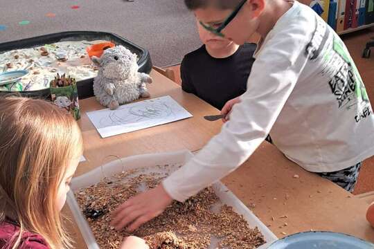 Aktivity U Medvídků 1