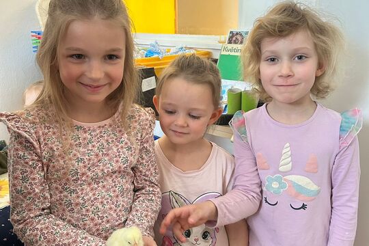 Jarní zázrak: líhnutí kuřátek v naší školce 1