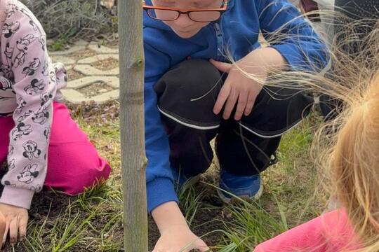 Nový přírůstek  1