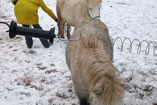 Návštěva poníků v Lísce Návštěva poníků v Lísce 1